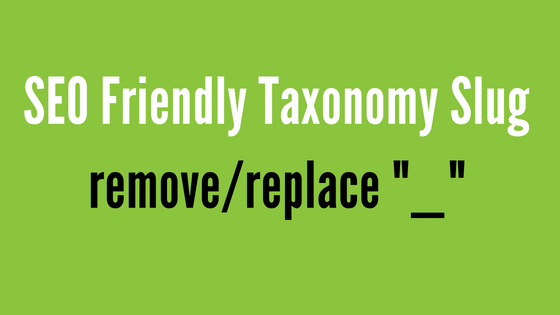 Taxonomy Slug SEO Friendly