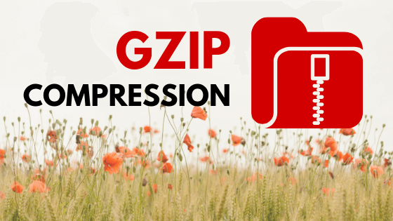 GZIP-Compression